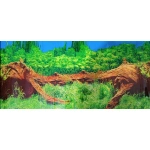 Akvaryum Arka Planı Çift Taraflı 50cm yükseklik-2metre genişlik - Görsel 2